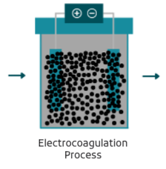 EC-sample